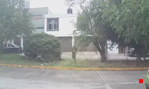 Caméra IP - MX