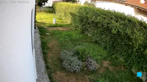 Caméra IP - IT