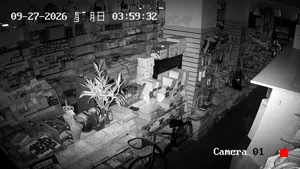 Caméra IP - CN