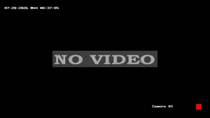 Caméra IP - US