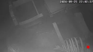 Caméra IP - TH
