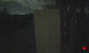 Caméra IP - IT