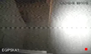 Caméra IP - PL