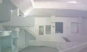 Caméra IP - MX