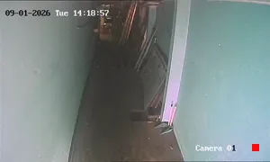 Caméra IP - TH
