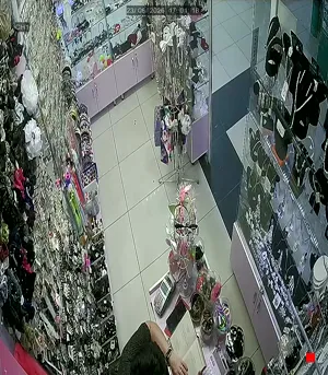 Caméra IP - RU