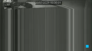 Caméra IP - IT
