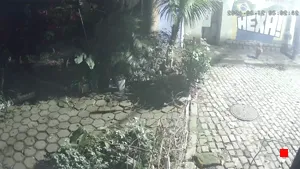 Caméra IP - BR
