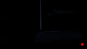 Caméra IP - US
