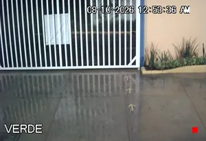 Caméra IP - MX