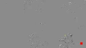 Caméra IP - IT