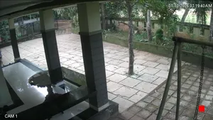 Caméra IP - IN