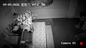 Caméra IP - CN