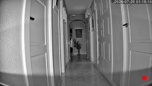 Caméra IP - ES