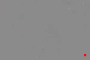 Caméra IP - IT