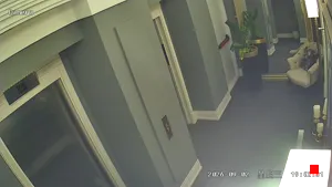 Caméra IP - IR