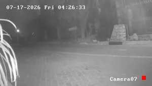 Caméra IP - ZA