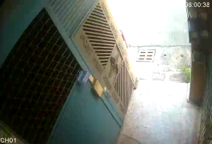 Caméra IP - TW
