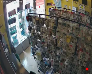 Caméra IP - IT