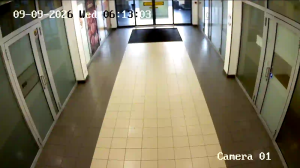 Caméra IP - PL