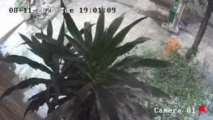 Caméra IP - VN