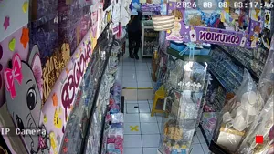 Caméra IP - MX