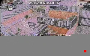 Caméra IP - IT