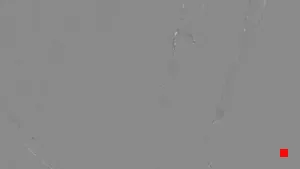 Caméra IP - IT