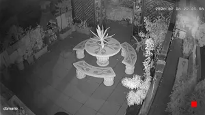 Caméra IP - IT