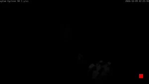 Caméra IP - DE