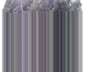 Caméra IP - CA