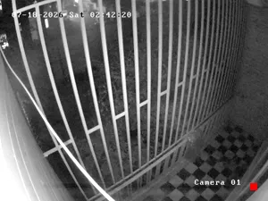 Caméra IP - IR