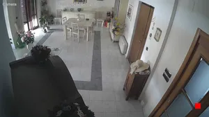 Caméra IP - IT
