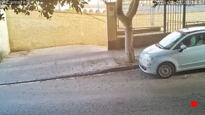 Caméra IP - ES