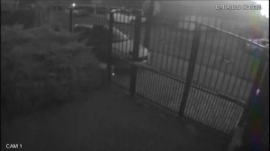 Caméra IP - RO