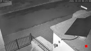 Caméra IP - DE