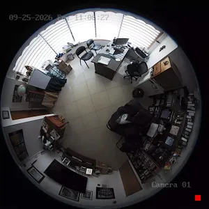 Caméra IP - CO
