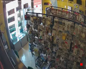 Caméra IP - IT