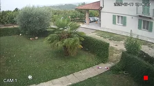Caméra IP - IT