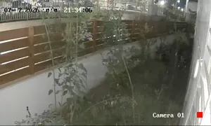 Caméra IP - IL