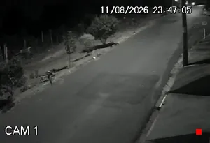 Caméra IP - BR