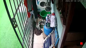 Caméra IP - UY