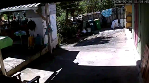 Caméra IP - ALL