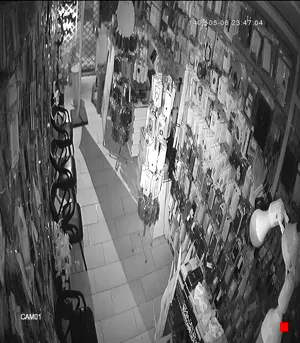 Caméra IP - IR