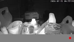 Caméra IP - CA