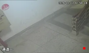 Caméra IP - CN