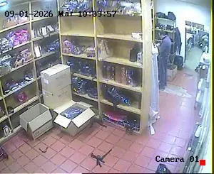 Caméra IP - AR