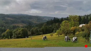 Caméra IP - CZ