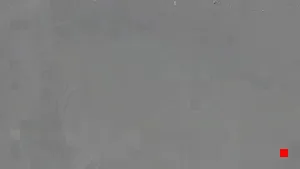 Caméra IP - IT