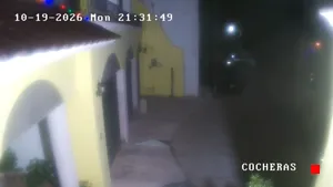 Caméra IP - MX